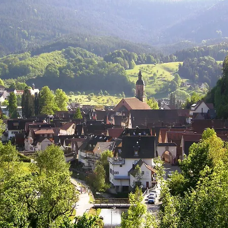 Am Hauskopf Apartamento *