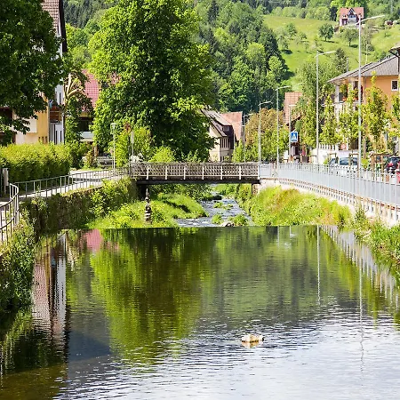 Am Hauskopf Apartamento Oppenau